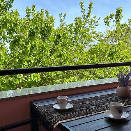 Apartment Murva Premantura Dış mekan fotoğraf