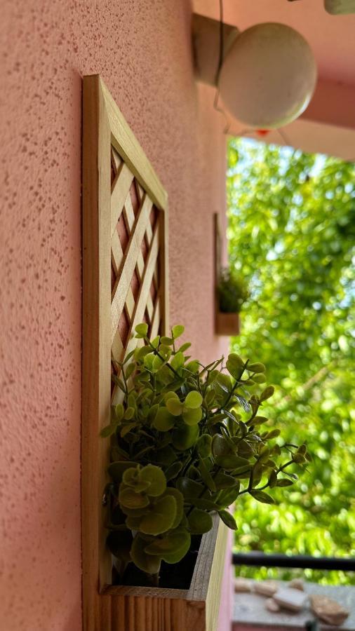 Apartment Murva Premantura Dış mekan fotoğraf
